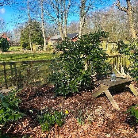 Дом отдыха Idyllisk Taet Ved Blavand Billum