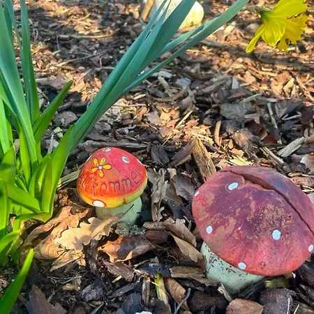 Дом отдыха Idyllisk Taet Ved Blavand